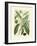 Botanical Glory II-Vision Studio-Framed Art Print