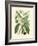 Botanical Glory II-Vision Studio-Framed Art Print