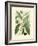 Botanical Glory II-Vision Studio-Framed Art Print