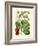 Botanical Glory V-Vision Studio-Framed Art Print