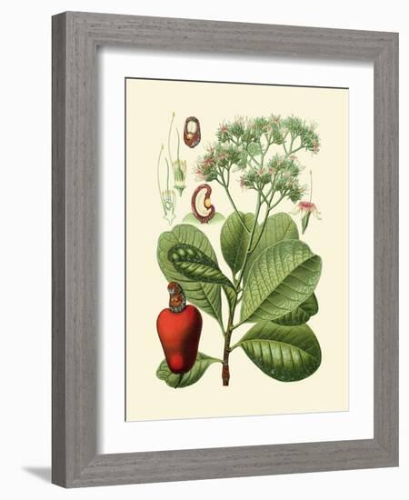 Botanical Glory V-Vision Studio-Framed Art Print