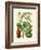 Botanical Glory V-Vision Studio-Framed Art Print