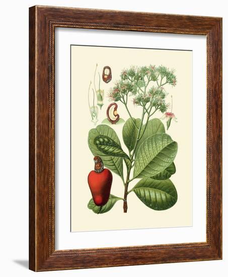 Botanical Glory V-Vision Studio-Framed Art Print