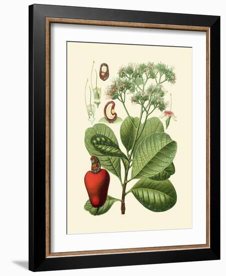 Botanical Glory V-Vision Studio-Framed Art Print