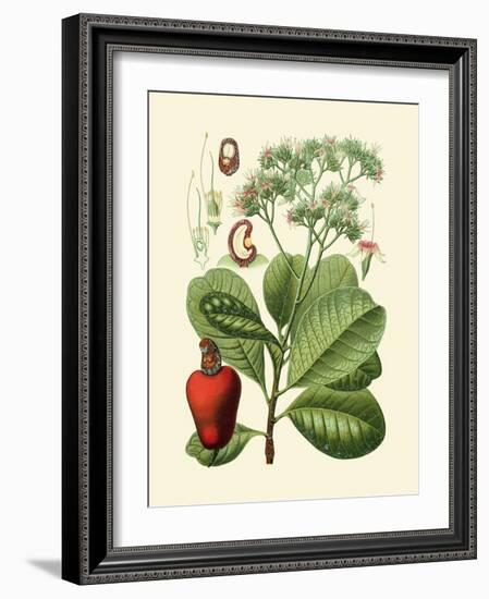 Botanical Glory V-Vision Studio-Framed Art Print