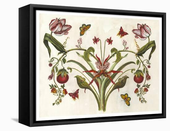 Botanical Hybrid II-Naomi McCavitt-Framed Stretched Canvas