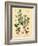 Botanical III-N. Harbick-Framed Art Print