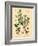 Botanical III-N. Harbick-Framed Art Print