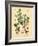 Botanical III-N. Harbick-Framed Art Print