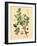 Botanical III-N. Harbick-Framed Art Print