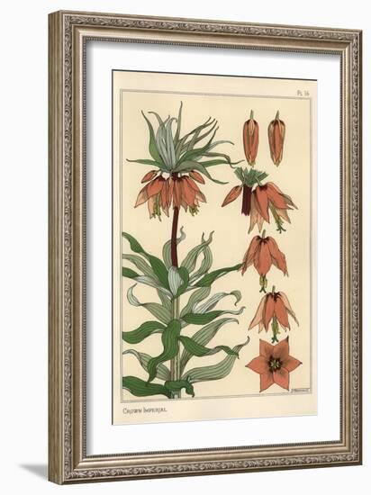 Botanical Illustration of the Crown Imperial Flower, Fritillaria Imperialis, 1897 (Lithograph)-Eugene Grasset-Framed Giclee Print