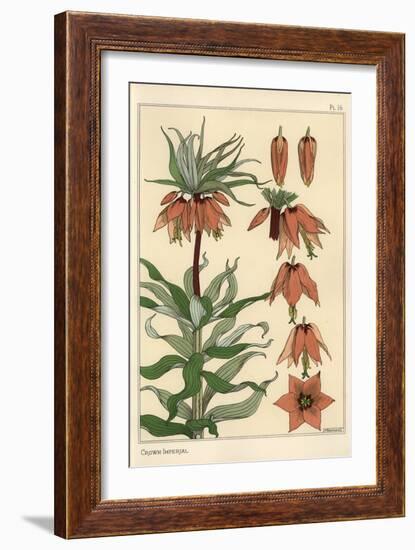 Botanical Illustration of the Crown Imperial Flower, Fritillaria Imperialis, 1897 (Lithograph)-Eugene Grasset-Framed Giclee Print