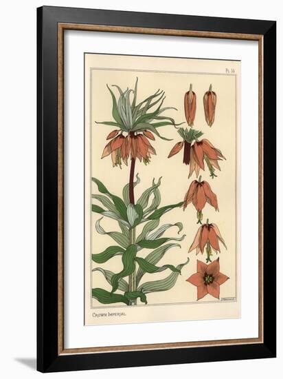 Botanical Illustration of the Crown Imperial Flower, Fritillaria Imperialis, 1897 (Lithograph)-Eugene Grasset-Framed Giclee Print