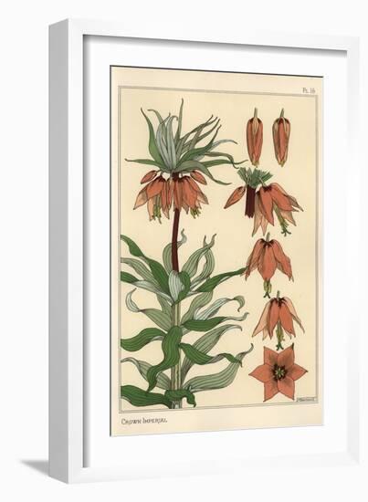 Botanical Illustration of the Crown Imperial Flower, Fritillaria Imperialis, 1897 (Lithograph)-Eugene Grasset-Framed Giclee Print