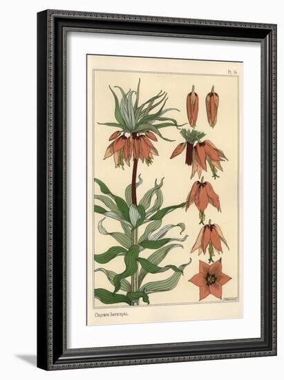 Botanical Illustration of the Crown Imperial Flower, Fritillaria Imperialis, 1897 (Lithograph)-Eugene Grasset-Framed Giclee Print