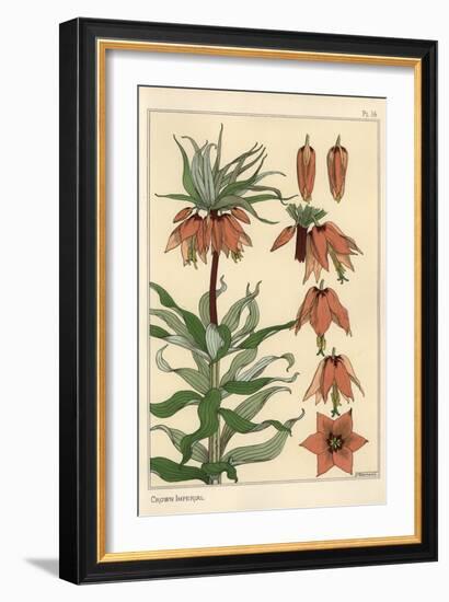 Botanical Illustration of the Crown Imperial Flower, Fritillaria Imperialis, 1897 (Lithograph)-Eugene Grasset-Framed Giclee Print