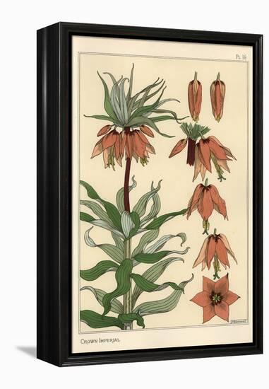 Botanical Illustration of the Crown Imperial Flower, Fritillaria Imperialis, 1897 (Lithograph)-Eugene Grasset-Framed Premier Image Canvas