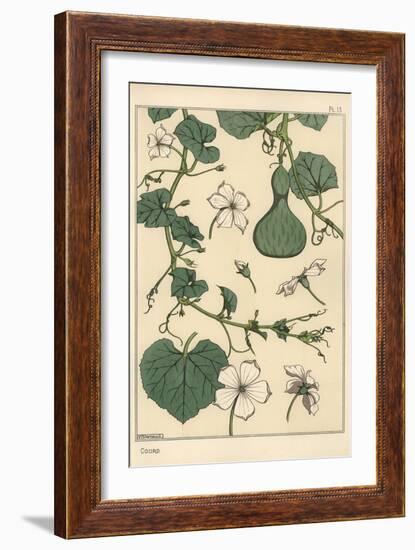 Botanical Illustration of the Gourd, 1897 (Lithograph)-Eugene Grasset-Framed Giclee Print