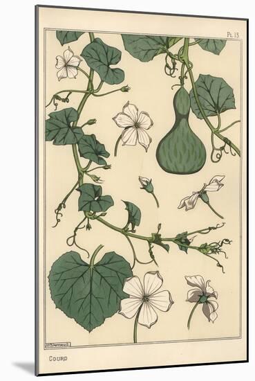 Botanical Illustration of the Gourd, 1897 (Lithograph)-Eugene Grasset-Mounted Giclee Print