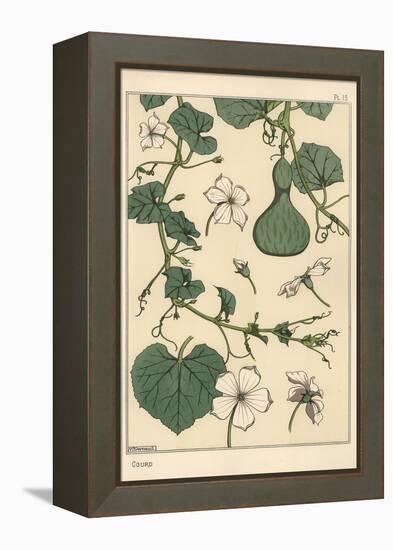 Botanical Illustration of the Gourd, 1897 (Lithograph)-Eugene Grasset-Framed Premier Image Canvas