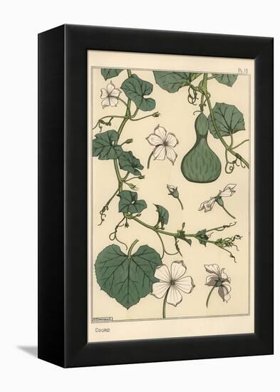 Botanical Illustration of the Gourd, 1897 (Lithograph)-Eugene Grasset-Framed Premier Image Canvas