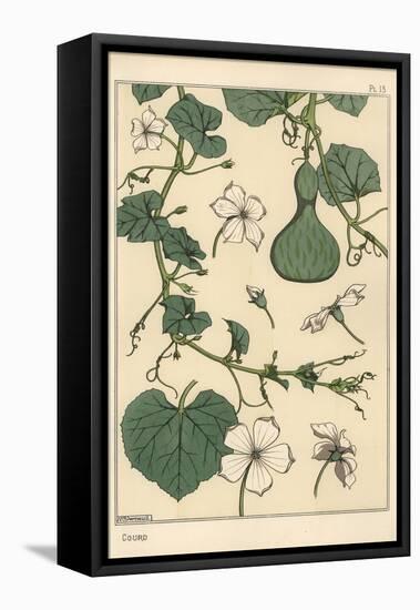 Botanical Illustration of the Gourd, 1897 (Lithograph)-Eugene Grasset-Framed Premier Image Canvas