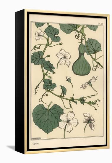 Botanical Illustration of the Gourd, 1897 (Lithograph)-Eugene Grasset-Framed Premier Image Canvas