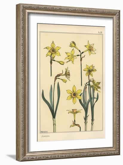 Botanical Illustration of the Jonquil, Narcissus Jonquilla, Showing Parts of Flower, 1897 (Lithogra-Eugene Grasset-Framed Giclee Print