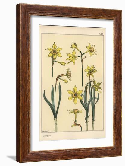 Botanical Illustration of the Jonquil, Narcissus Jonquilla, Showing Parts of Flower, 1897 (Lithogra-Eugene Grasset-Framed Giclee Print