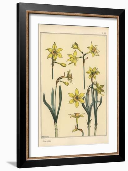 Botanical Illustration of the Jonquil, Narcissus Jonquilla, Showing Parts of Flower, 1897 (Lithogra-Eugene Grasset-Framed Giclee Print