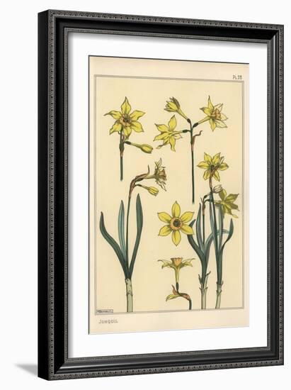 Botanical Illustration of the Jonquil, Narcissus Jonquilla, Showing Parts of Flower, 1897 (Lithogra-Eugene Grasset-Framed Giclee Print