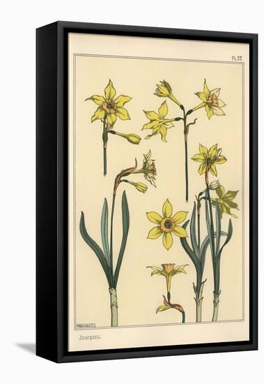 Botanical Illustration of the Jonquil, Narcissus Jonquilla, Showing Parts of Flower, 1897 (Lithogra-Eugene Grasset-Framed Premier Image Canvas