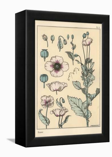 Botanical Illustration of the Poppy, with Flower Parts, Opium Pod, 1897 (Lithograph)-Eugene Grasset-Framed Premier Image Canvas