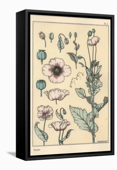 Botanical Illustration of the Poppy, with Flower Parts, Opium Pod, 1897 (Lithograph)-Eugene Grasset-Framed Premier Image Canvas