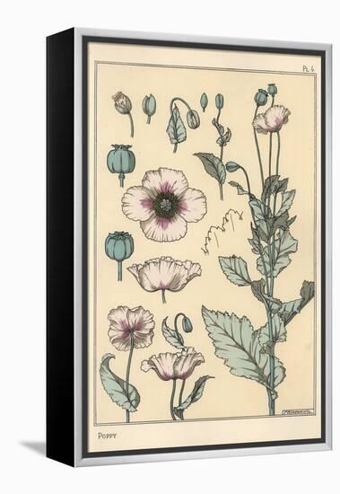 Botanical Illustration of the Poppy, with Flower Parts, Opium Pod, 1897 (Lithograph)-Eugene Grasset-Framed Premier Image Canvas