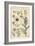 Botanical Illustration of the Poppy, with Flower Parts, Opium Pod, 1897 (Lithograph)-Eugene Grasset-Framed Giclee Print