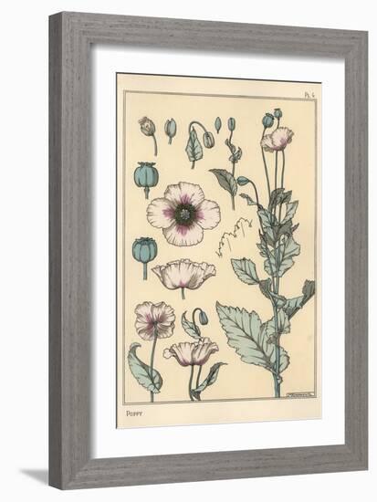 Botanical Illustration of the Poppy, with Flower Parts, Opium Pod, 1897 (Lithograph)-Eugene Grasset-Framed Giclee Print