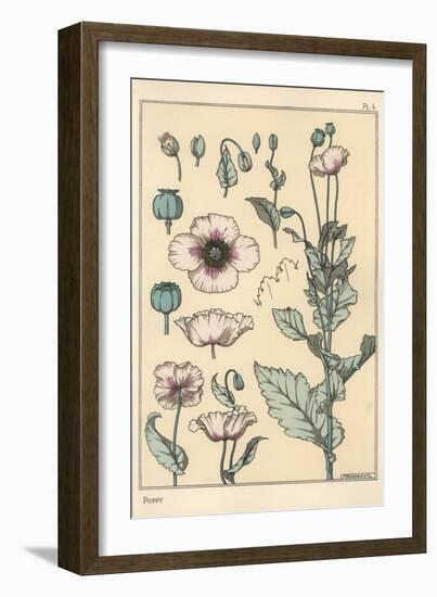 Botanical Illustration of the Poppy, with Flower Parts, Opium Pod, 1897 (Lithograph)-Eugene Grasset-Framed Giclee Print