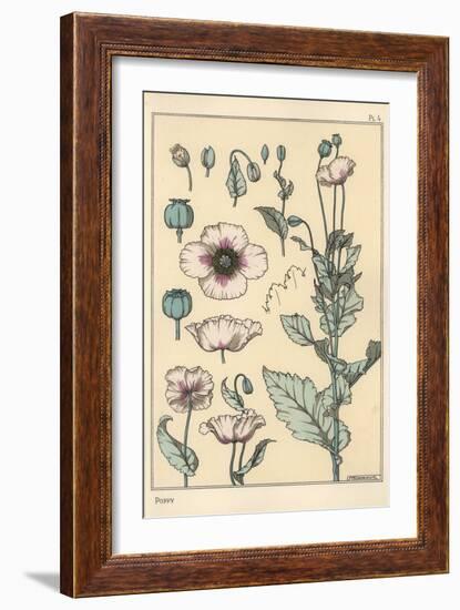 Botanical Illustration of the Poppy, with Flower Parts, Opium Pod, 1897 (Lithograph)-Eugene Grasset-Framed Giclee Print