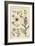 Botanical Illustration of the Poppy, with Flower Parts, Opium Pod, 1897 (Lithograph)-Eugene Grasset-Framed Giclee Print