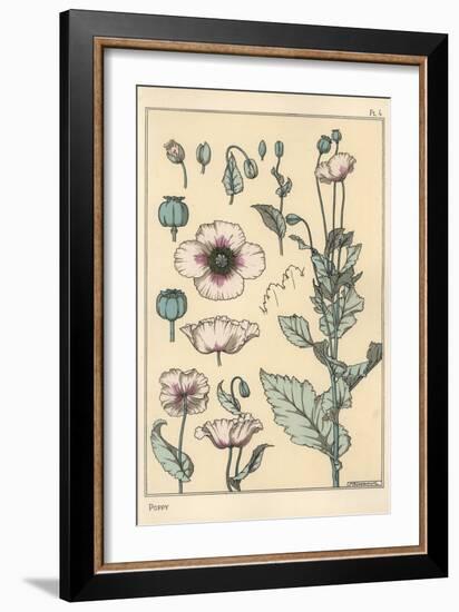 Botanical Illustration of the Poppy, with Flower Parts, Opium Pod, 1897 (Lithograph)-Eugene Grasset-Framed Giclee Print