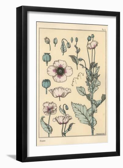 Botanical Illustration of the Poppy, with Flower Parts, Opium Pod, 1897 (Lithograph)-Eugene Grasset-Framed Giclee Print