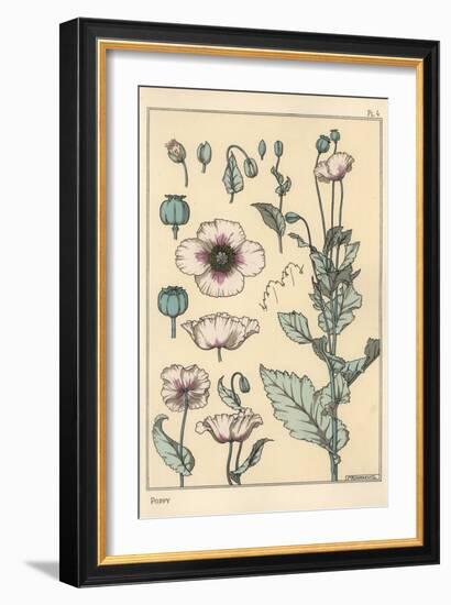 Botanical Illustration of the Poppy, with Flower Parts, Opium Pod, 1897 (Lithograph)-Eugene Grasset-Framed Giclee Print