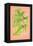 Botanical Illustration on Pink-null-Framed Stretched Canvas