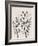 Botanical Inspiration 2-Doris Charest-Framed Art Print