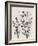 Botanical Inspiration 2-Doris Charest-Framed Art Print