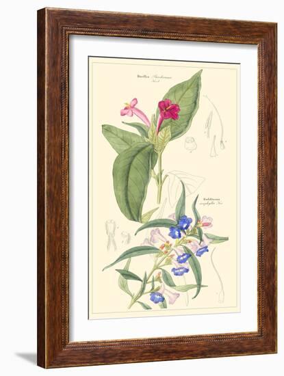 Botanical IV-Jacob Dietrich-Framed Art Print