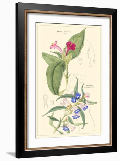 Botanical IV-Jacob Dietrich-Framed Art Print