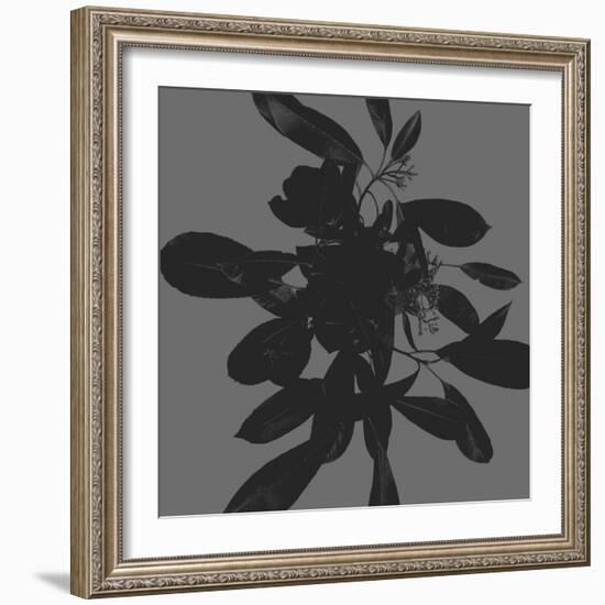 Botanical Light 1-Melody Hogan-Framed Art Print