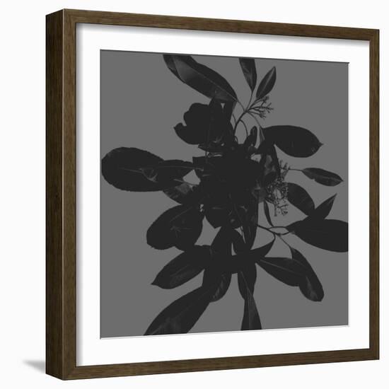 Botanical Light 1-Melody Hogan-Framed Art Print